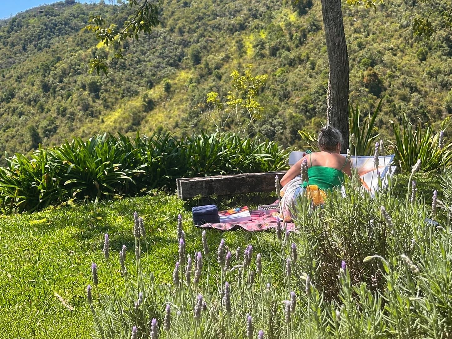 Boo Shvartsman painting outdoors, surrounded by flowers and mountains.